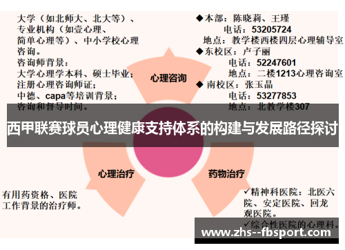 西甲联赛球员心理健康支持体系的构建与发展路径探讨
