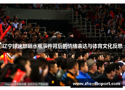 辽宁球迷怒砸水瓶事件背后的情绪表达与体育文化反思