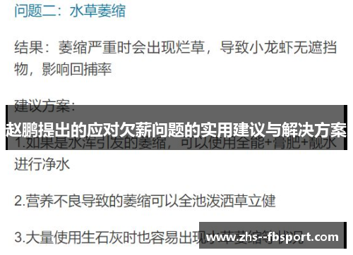 赵鹏提出的应对欠薪问题的实用建议与解决方案