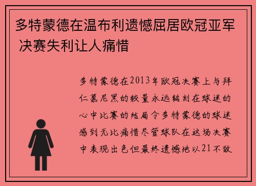 多特蒙德在温布利遗憾屈居欧冠亚军 决赛失利让人痛惜 多特蒙德在温布利遗憾屈居欧冠亚军 决赛失利让人痛惜